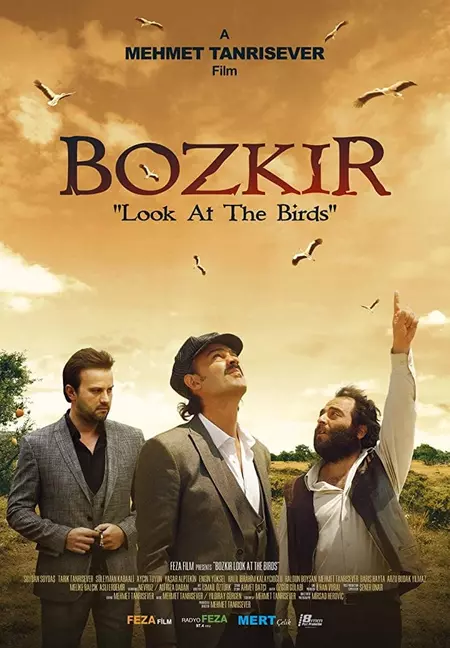 Bozkir "Look at the Birds"