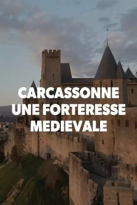 Carcassonne, une forteresse médiévale