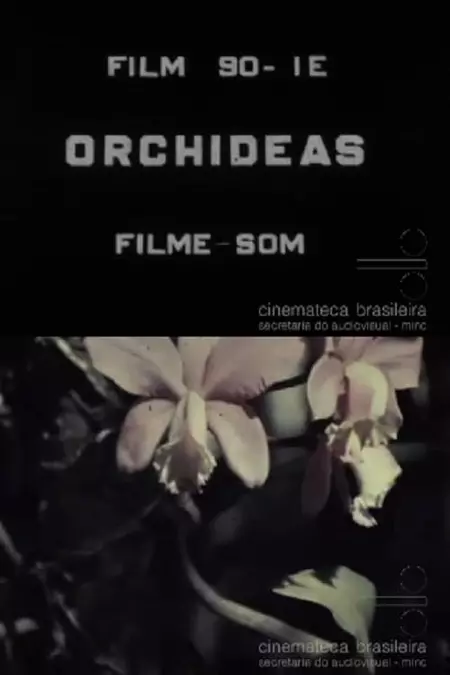 Orquídeas