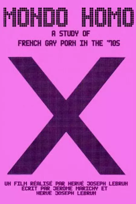 Mondo Homo: Inquiry Into 70's Gay French Porn