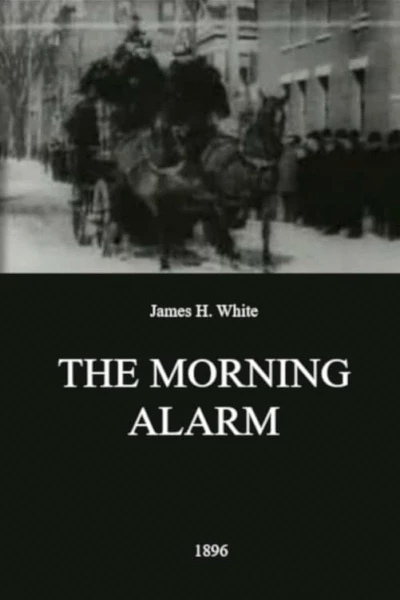 The Morning Alarm