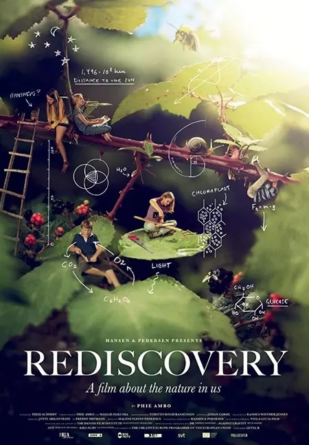 Rediscovery