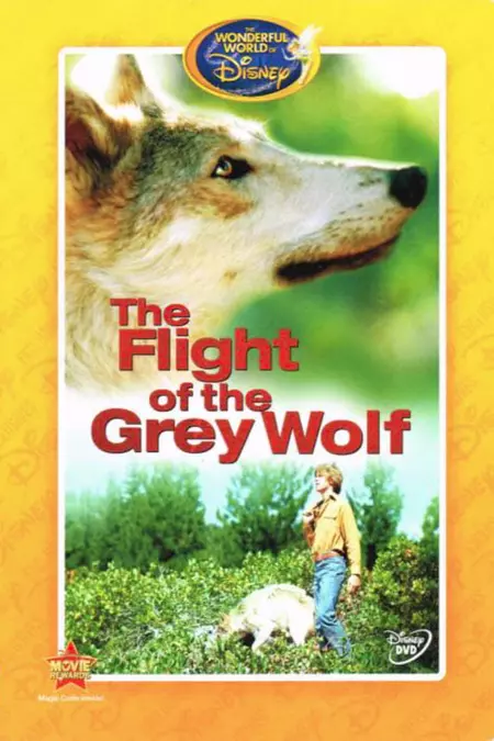 The Flight of the Grey Wolf