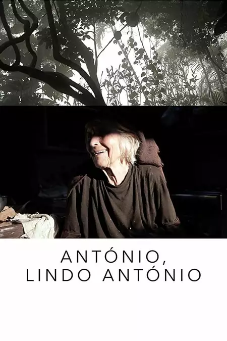 António, Dashing António