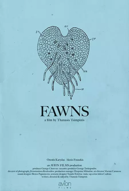 Fawns