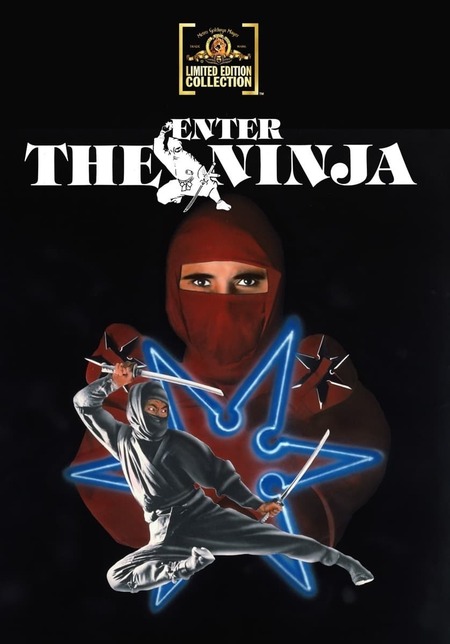 enter the ninja chords
