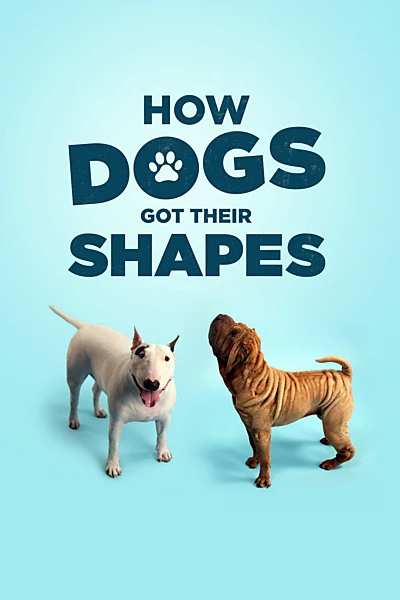 How Dogs Got Their Shapes