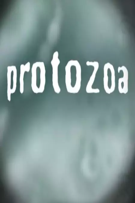 Protozoa