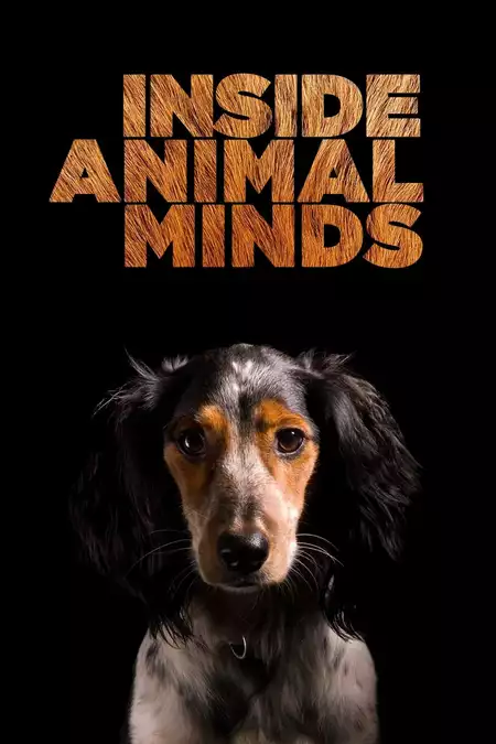 Inside Animal Minds