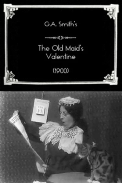 The Old Maid's Valentine