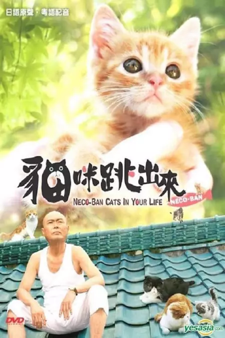 Neco-Ban: Cats in Your Life