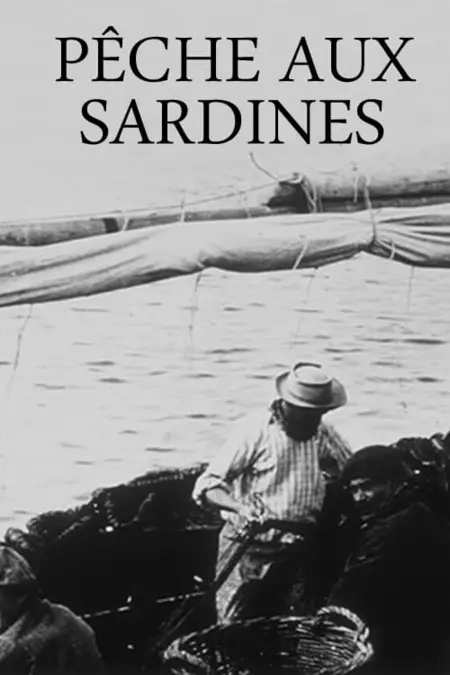Sardine fishing