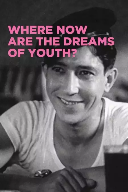 Where Now Are the Dreams of Youth?