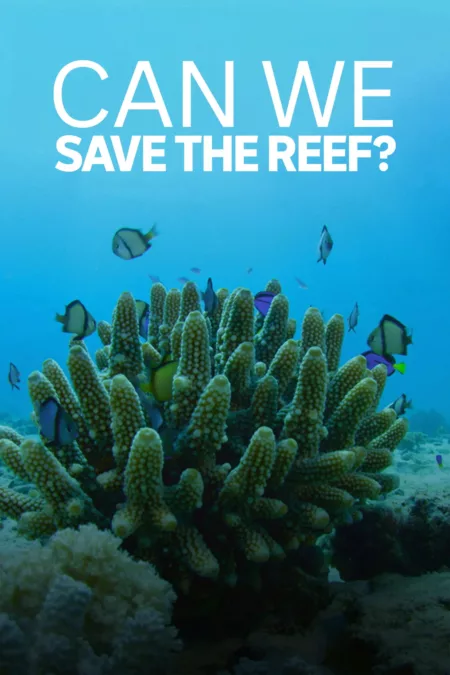 Can We Save the Reef?