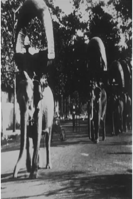 Elephant March in Phnom Penh