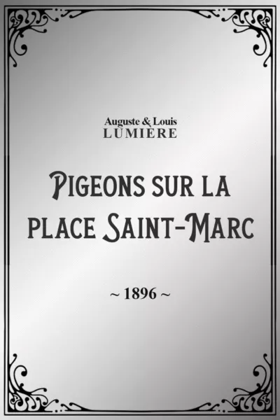 Pigeons sur la place Saint-Marc