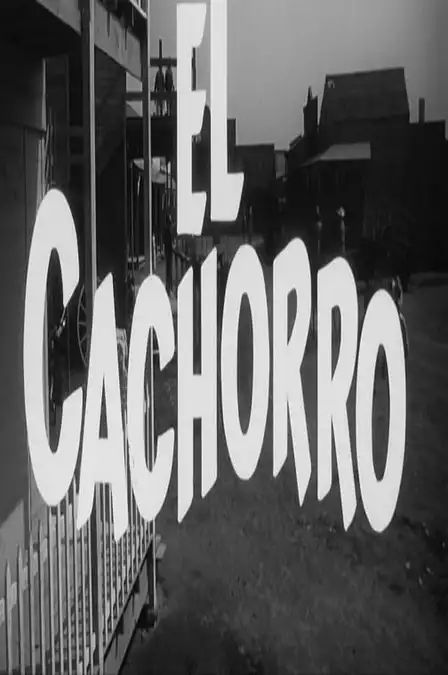 El cachorro