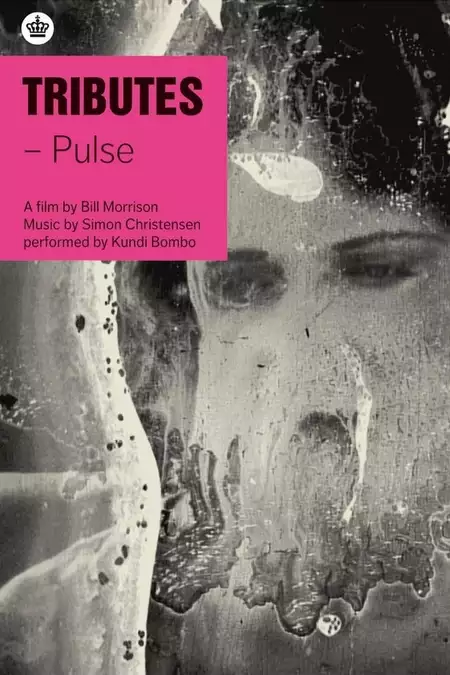 Tributes: Pulse