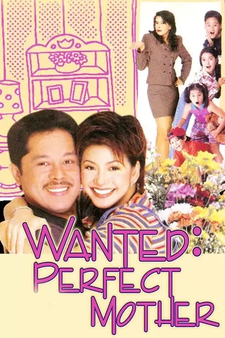 Wanted: Perfect Mother