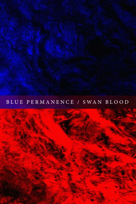Blue Permanence / Swan Blood
