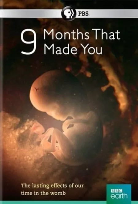 9 Months That Made You