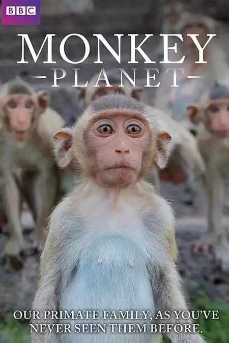 Monkey Planet