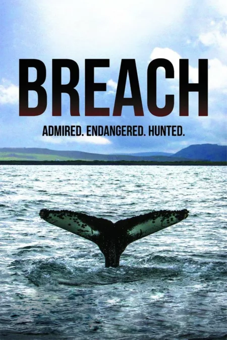 Breach