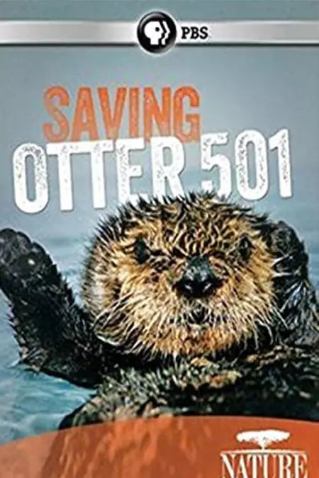 Saving Otter 501