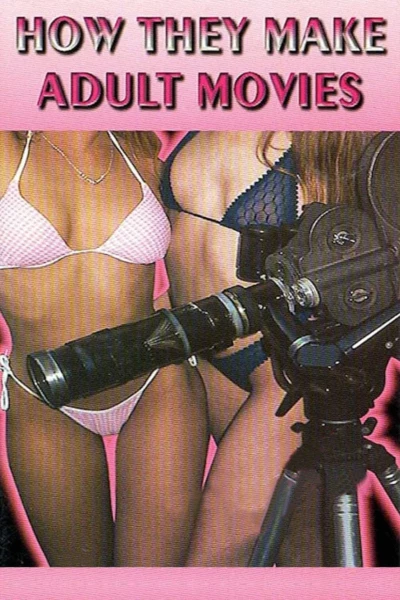 How They Make Adult Movies