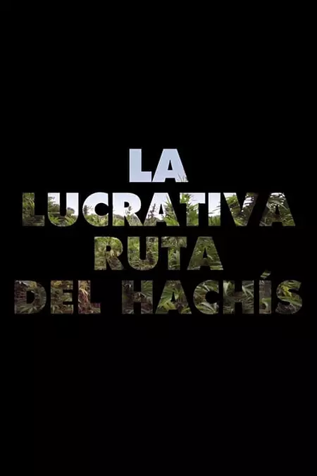 La lucrativa ruta de hachís