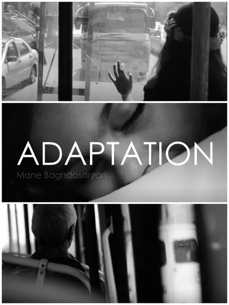 Adaptation