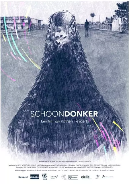 Schoon donker