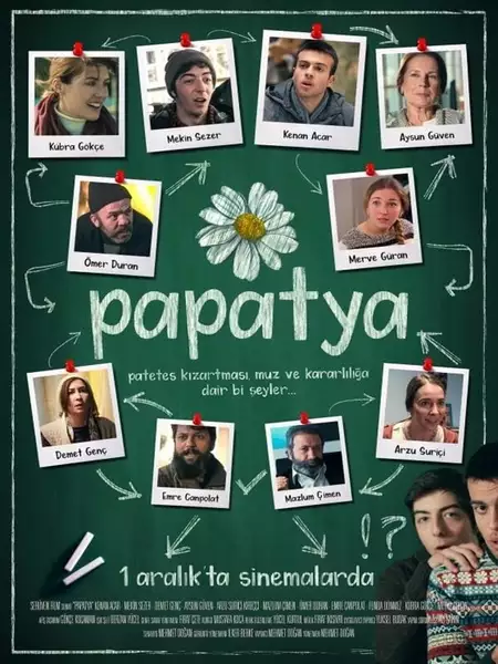 Papatya