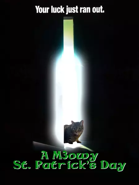 A Meowy St. Patrick's Day