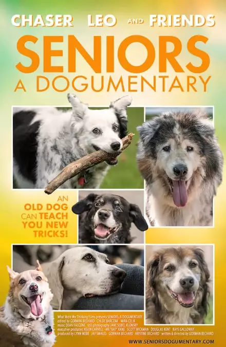 Seniors: A Dogumentary