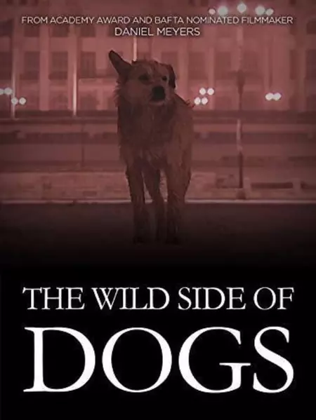 The Wild Side of Dogs