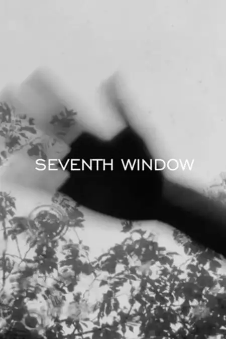 SEVENTH WINDOW