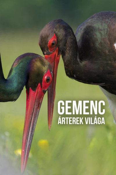 Gemenc – The World of Floodplains