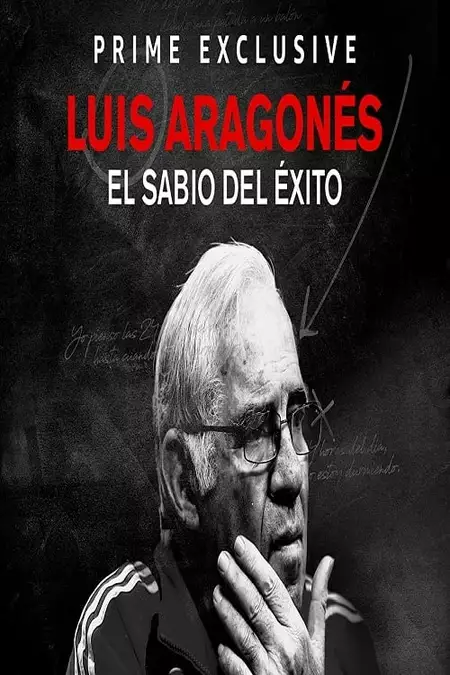 Luis Aragonés, el sabio del éxito