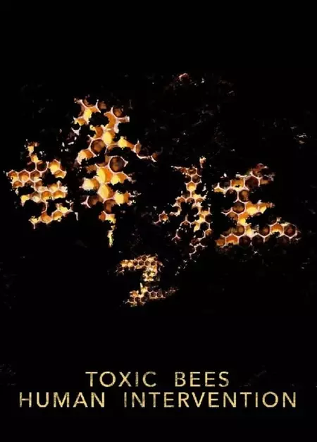 Toxic Bees: Human Intervention