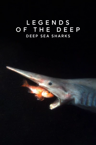 Legends of the Deep: Deep Sea Sharks