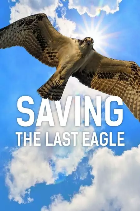 Saving The Last Eagle