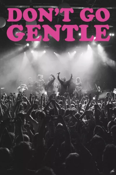 Don't Go Gentle: A Film About IDLES