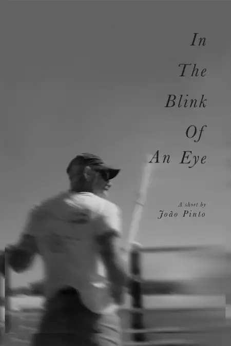 In The Blink Of An Eye