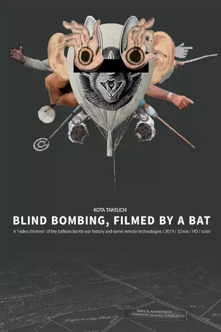 Blind Bombing, Filmed by a Bat