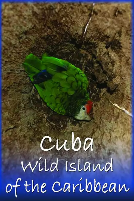 Cuba: Wild Island of the Caribbean