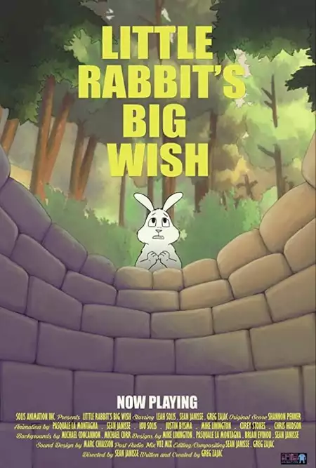 Little Rabbit's Big Wish