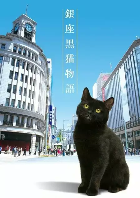 Ginza Black Cat Story