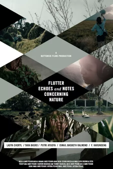 Flutter Echoes and Notes Concerning Nature