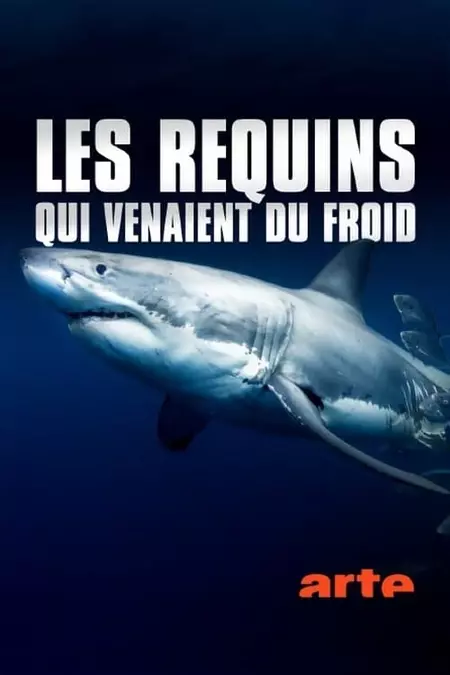 Les requins qui venaient du froid